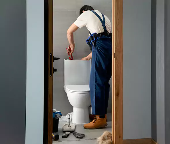 Professional Plumbers for Toilet Bowl Replacement in Stockbridge, GA: Schedule Affordable Toilet Replacement Services With Us