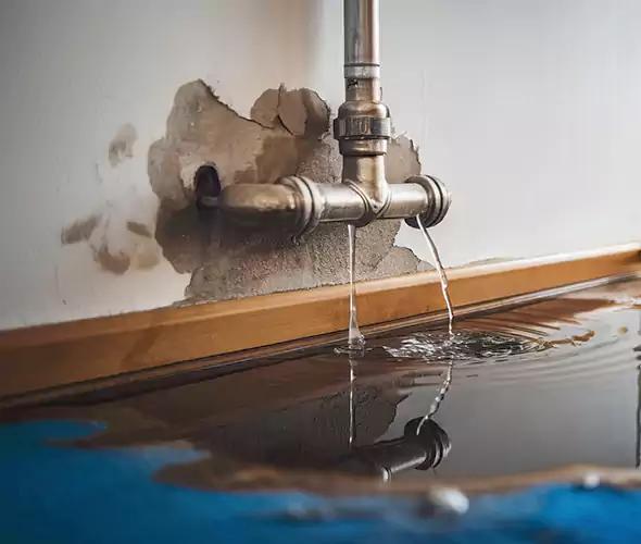 Professional Water Damage Restoration Experts in Stockbridge, GA — Fast, Reliable & Certified