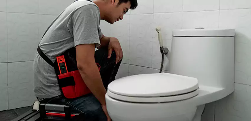 Toilet Repair in Stockbridge
