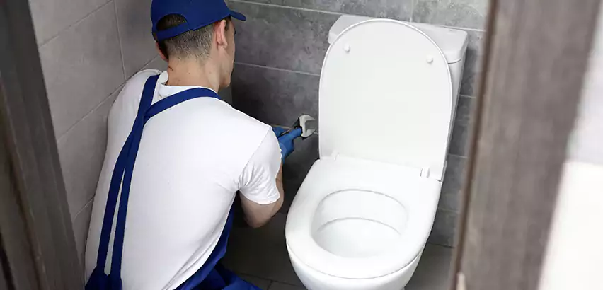 Toilet Lid Replacement in Stockbridge