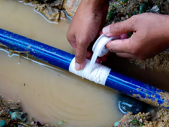  Why Choose Stockbridge Plumbing Pro for Leak Detection in Stockbridge, GA?]